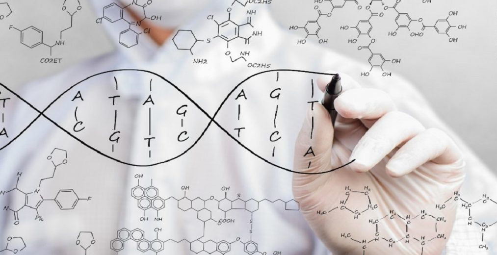 افراد از کدام رشته های تحصیلی میتوانند وارد بازار کار رشته زیست شناسی مولکولی شوند؟.jpg