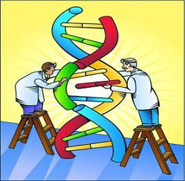 چگونه به یک متخصص ژنتیک تبدیل شویم؟.jpg